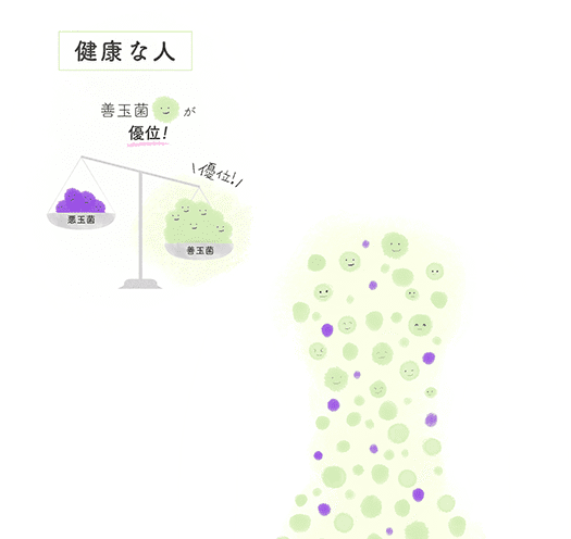 バクテリアセラピー
